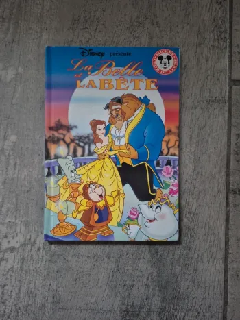 Livre la belle et la bête