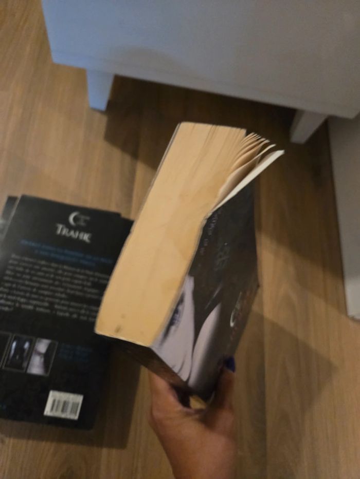 Lot de 3 livres la maison de la nuit marquée trahie choisie - photo numéro 17