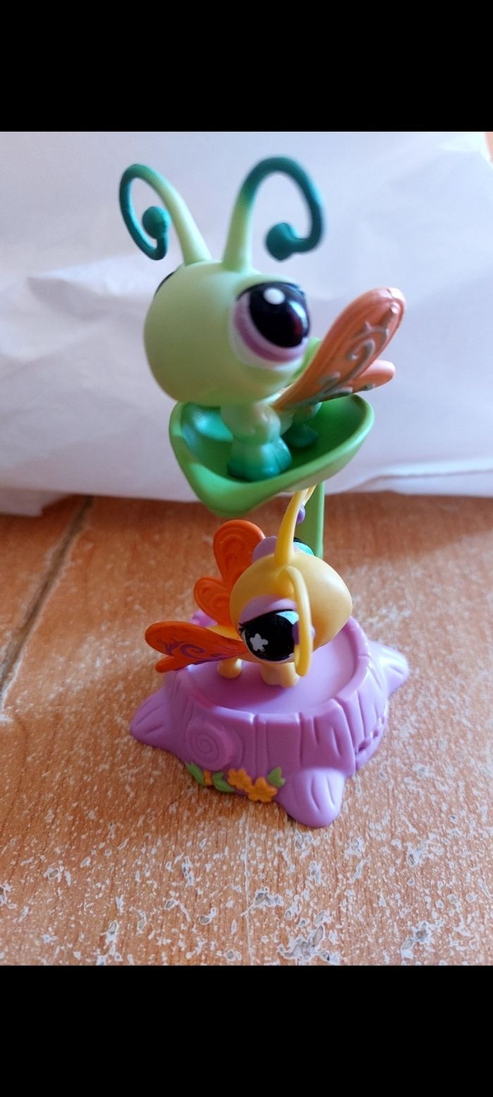 Pet shop papillon - photo numéro 2