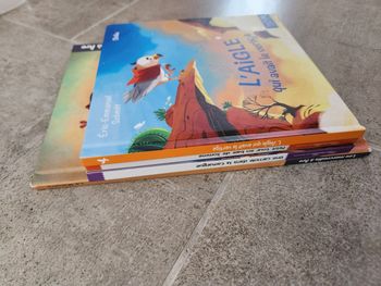 Lot de 4 Livre enfant : Hachette jeunesse