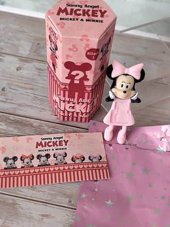 hippers Disney Minnie rose