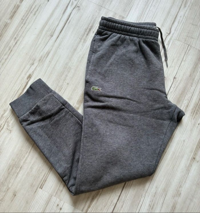 jogging lacoste