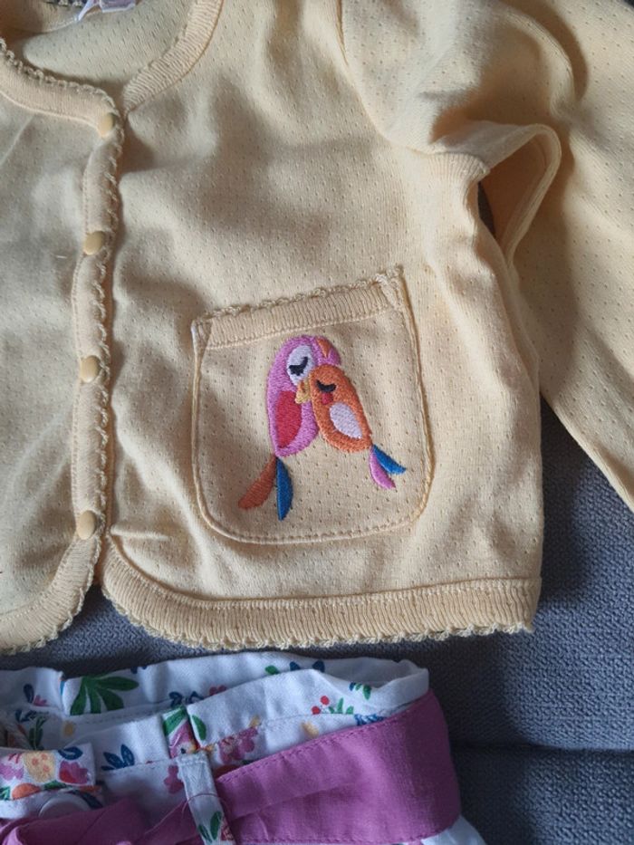 Ensemble Du Pareil Au Même DPAM taille 6 mois gilet et short neuf avec étiquettes - photo numéro 3
