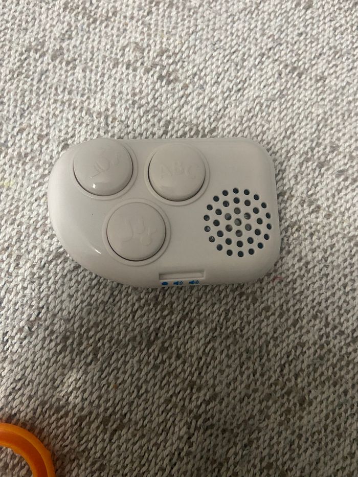 Lion musical - photo numéro 3