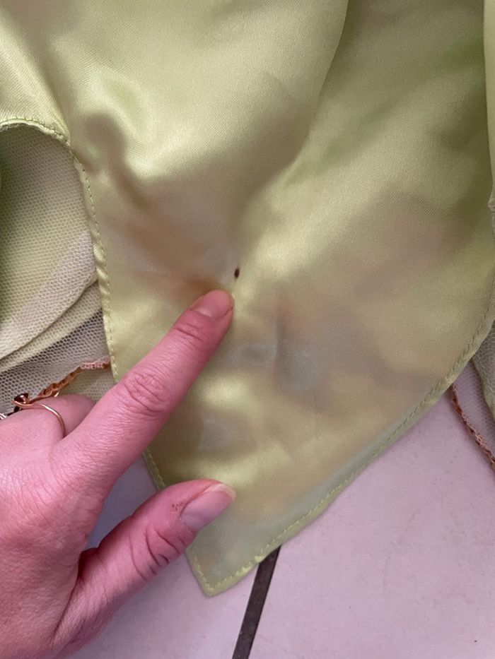 Deguisement fée clochette Disneyland - photo numéro 2