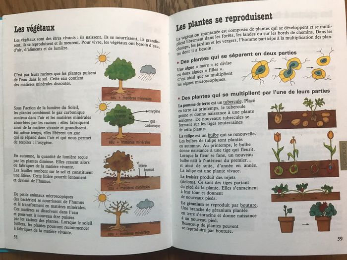 Mémento Passeport Cours élémentaire CE1 - CE2 - photo numéro 3
