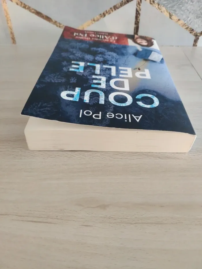 Livre grand format coup de pelle Alice Pol thriller - photo numéro 4