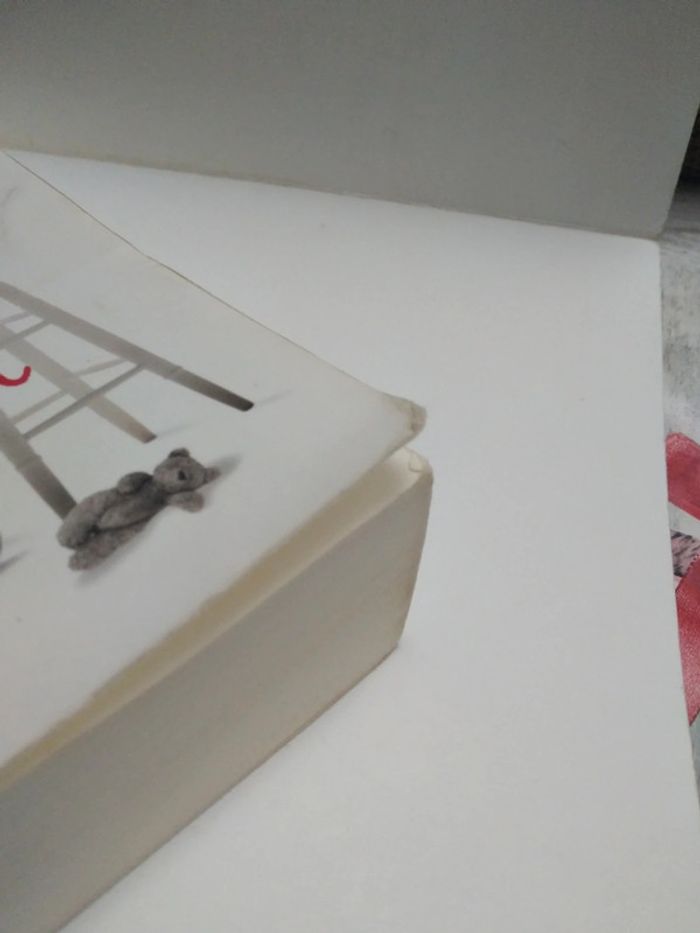 Folle de lui - photo numéro 6