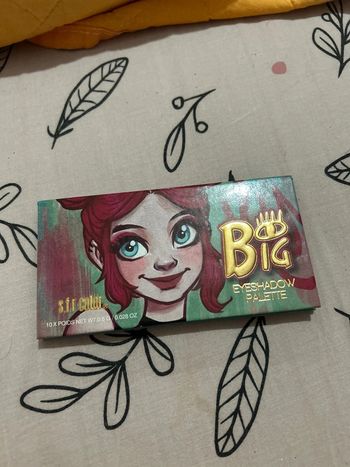 Palette de maquillage