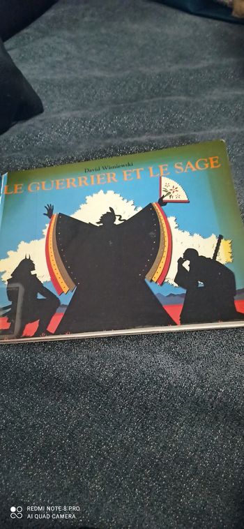 Livre le guerrier et le sage
