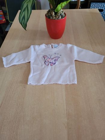 Pull fille papillon