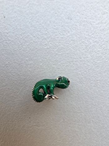 Charm Pascal de raiponce Disney 
