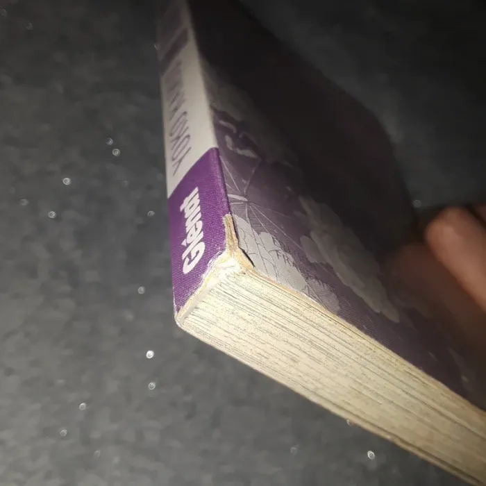 Manga hana yori dango - photo numéro 9