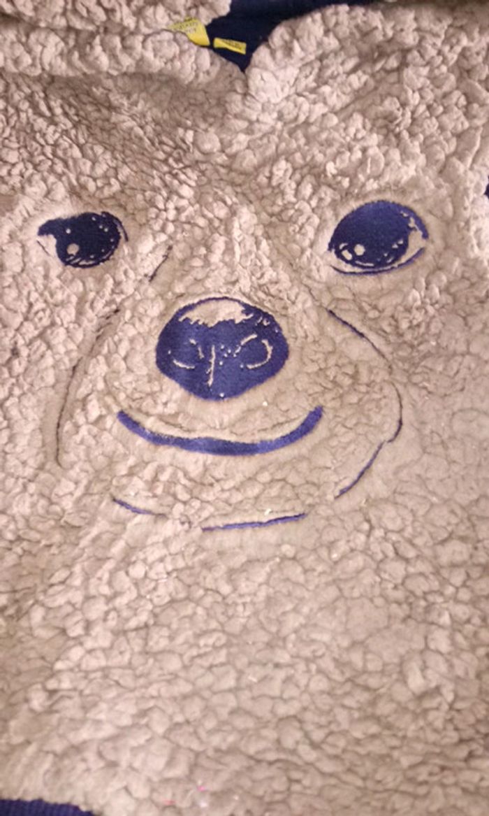 Pull orchestra ours paddington 5 ans - photo numéro 2