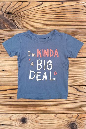 Tee shirt 12 mois