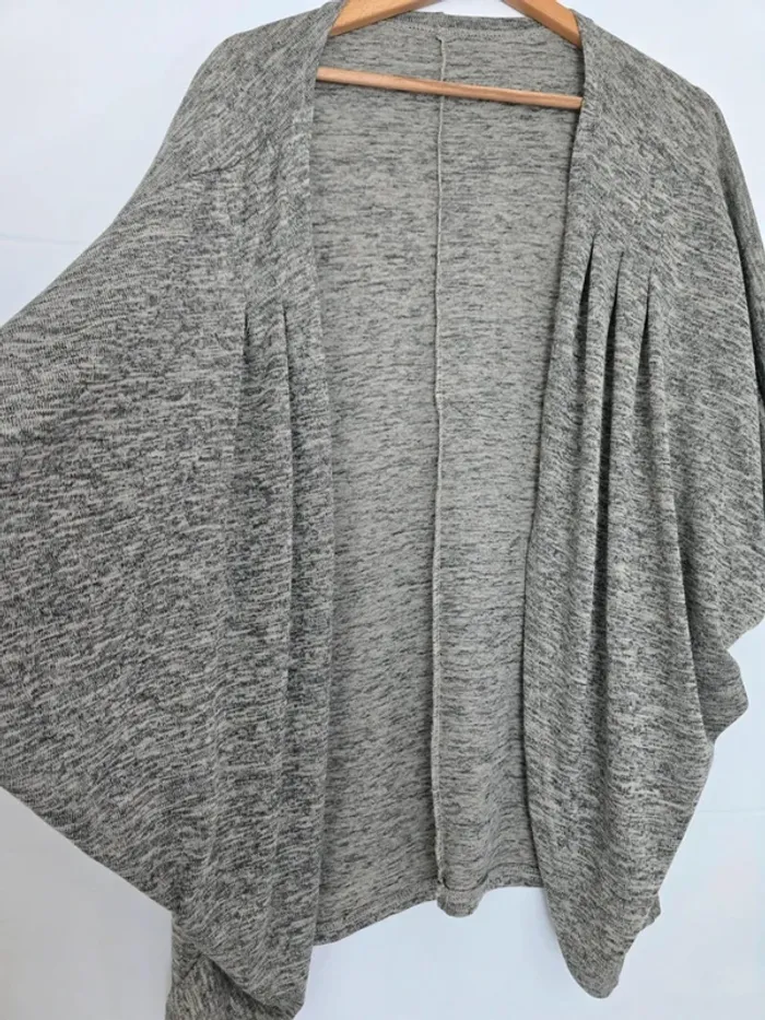 Gilet gris, manches chauve souris - photo numéro 3