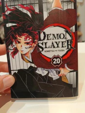 Demon Slayer tome 20