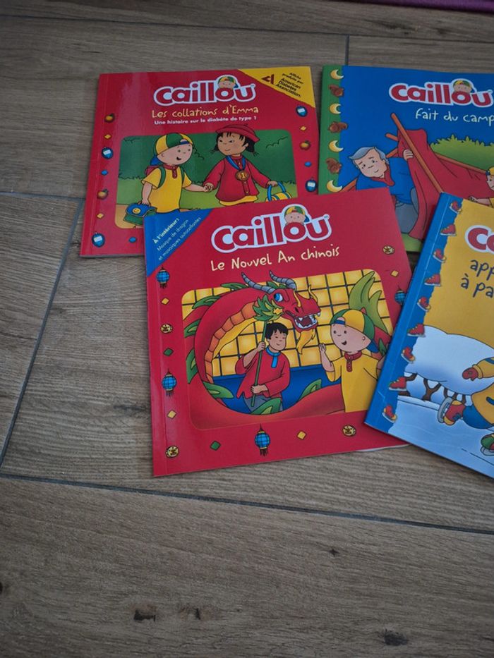 Lot 5 livres caillou - photo numéro 2