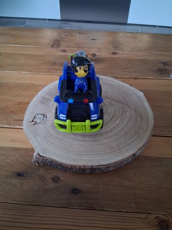 Paw patrol