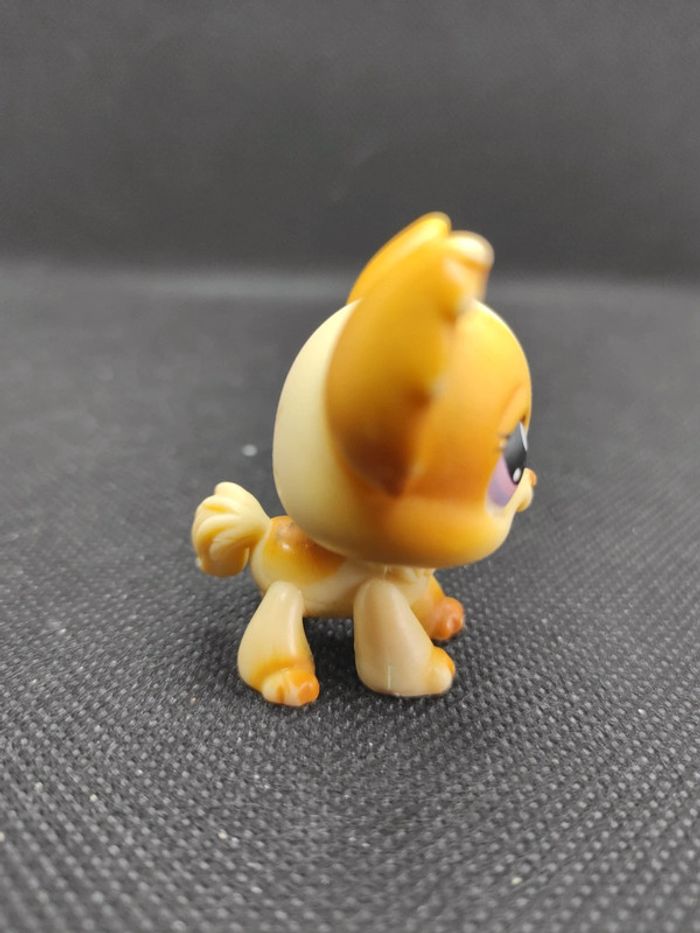Littlest Petshop LPS dog chien papillon 96 chihuahua hasbro #geektradelpschien - photo numéro 4
