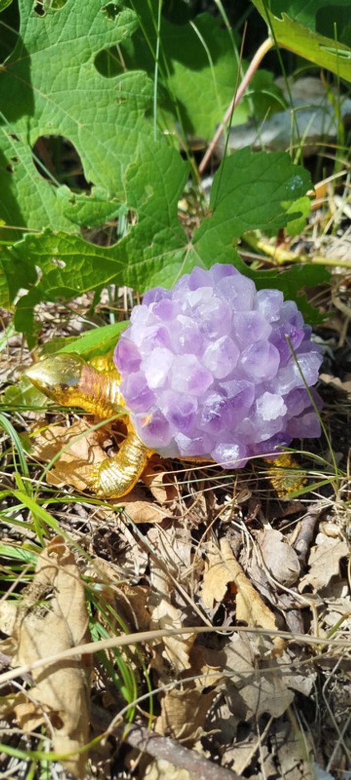 Tortue Royale en Améthyste 💫423g de Sérénité Minérale - photo numéro 7