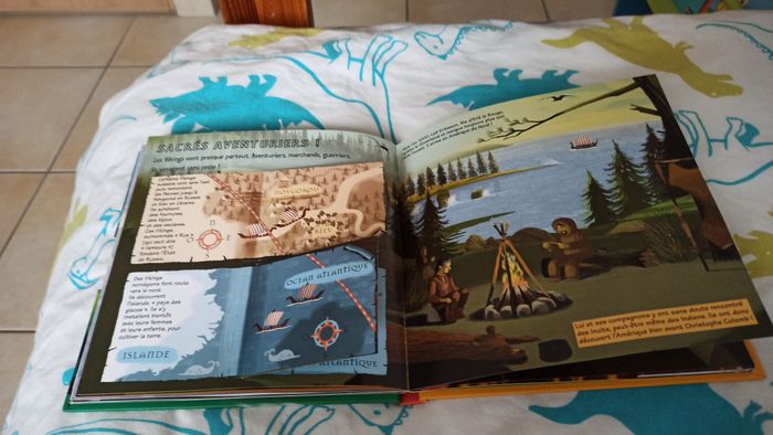 Livre Les vikings - photo numéro 5