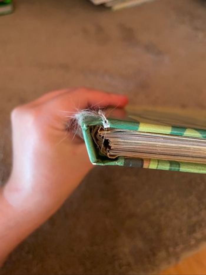 Livre - Le livre de la jungle - photo numéro 4