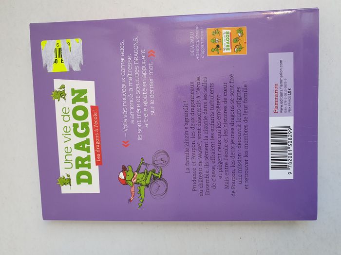 Une vie de dragon : les dragons à l'école - photo numéro 2