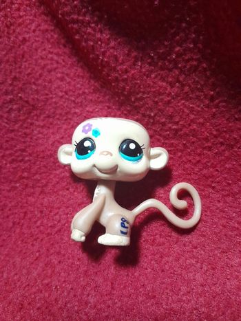 Figurine Petshop A14