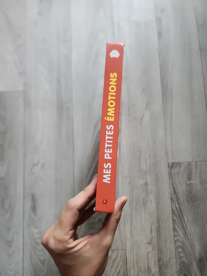 Livre mes petites émotions - photo numéro 3