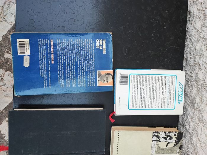 Livre Guide - photo numéro 5