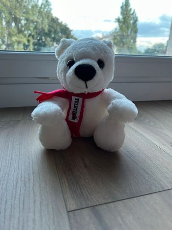 Peluche ours telethon