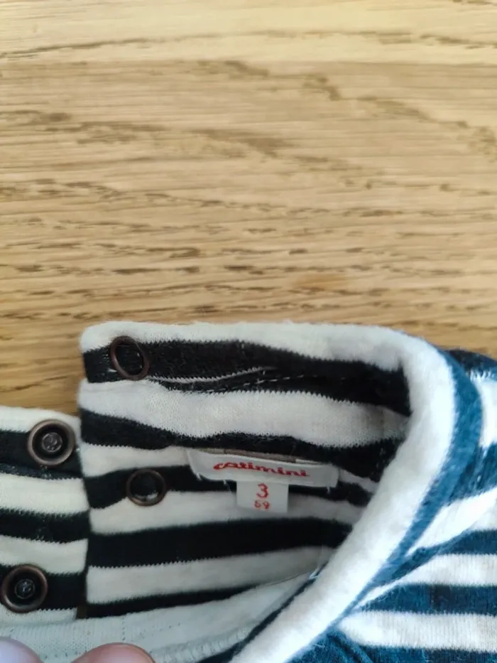 Pull chien - photo numéro 3