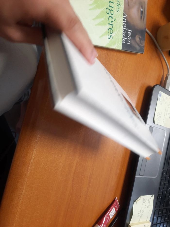 Lot 2 livres le roi et le rendez-vous - photo numéro 5