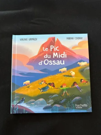 Livre Le pic du Midi d’Ossau - Neuf