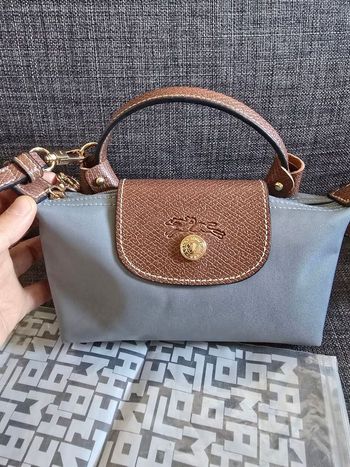 Mini longchamps