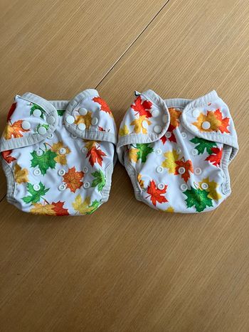 2 couches lavables TE1 bambou