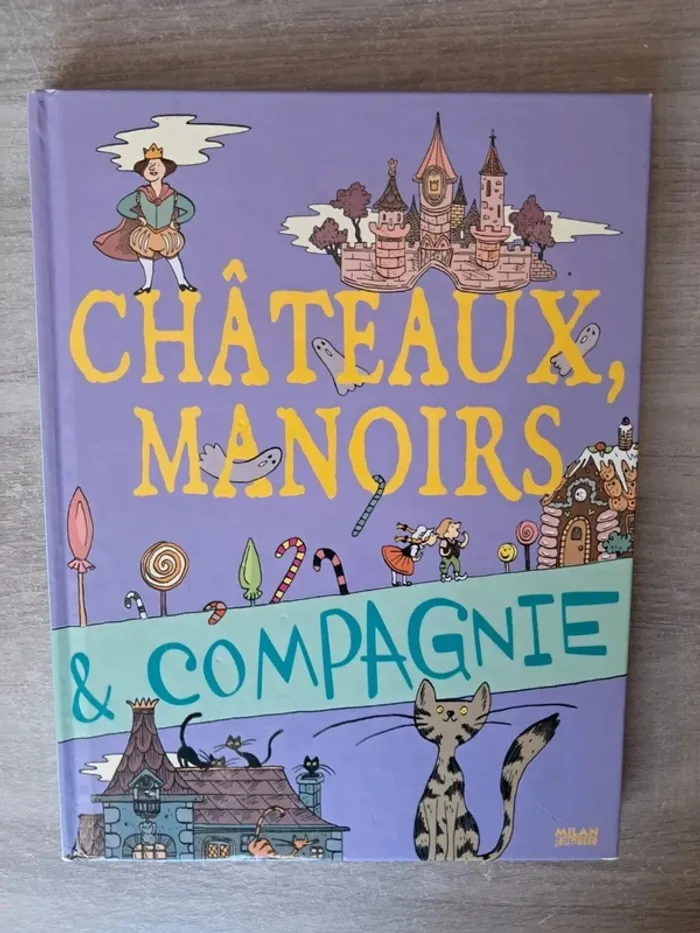 Livre châteaux manoirs et compagnie