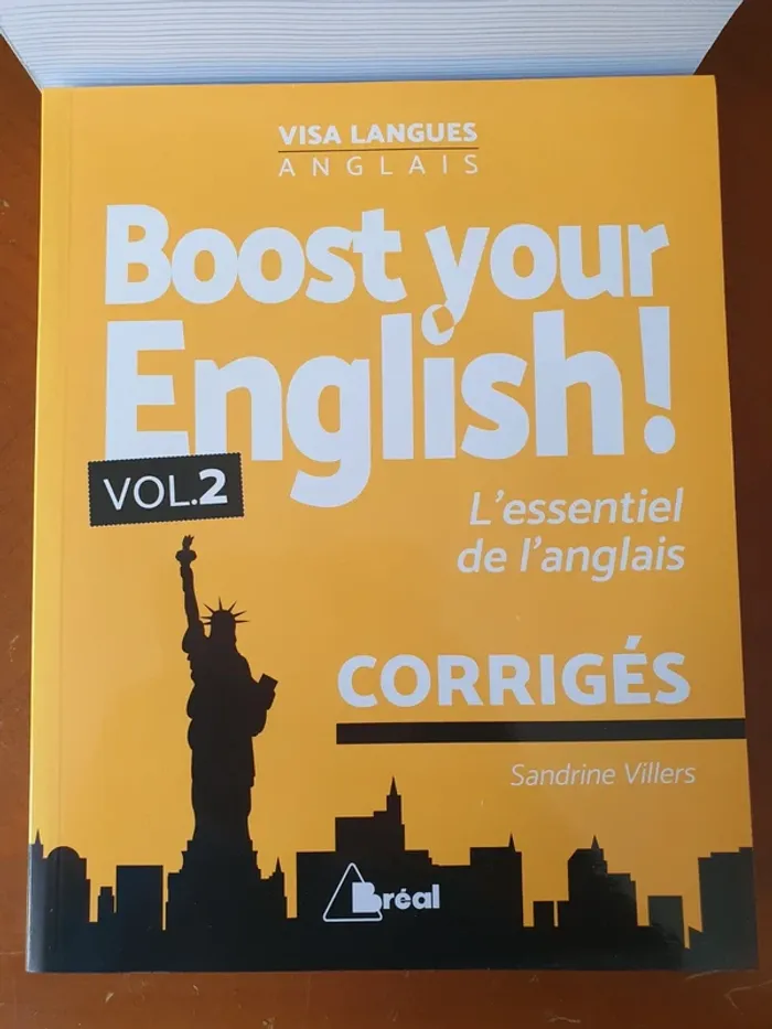 Lots livre anglais - photo numéro 2