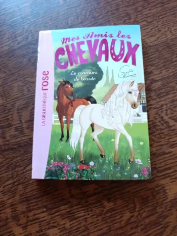 Mes amis les chevaux 10