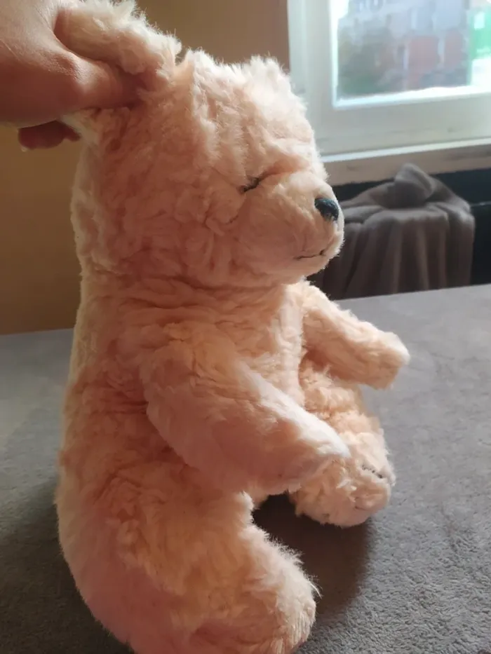 Peluche - photo numéro 4