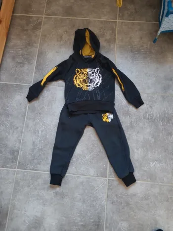 Ensemble tigre