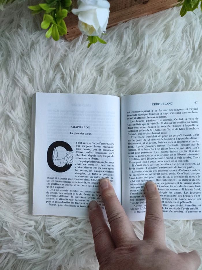 Croc blanc - photo numéro 5