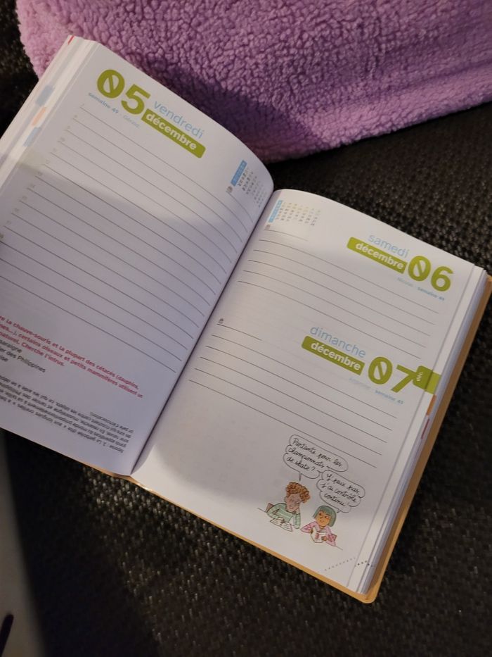 agenda scolaire 2025 2026 neuf (1e) - photo numéro 3