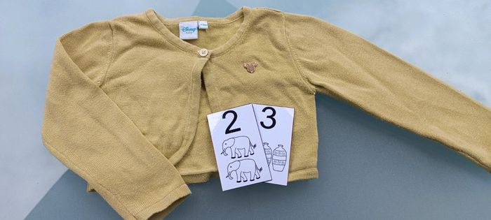 Gilet 23 mois Disney