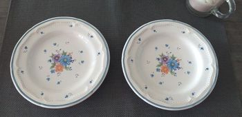 2 jolies assiettes à dessert