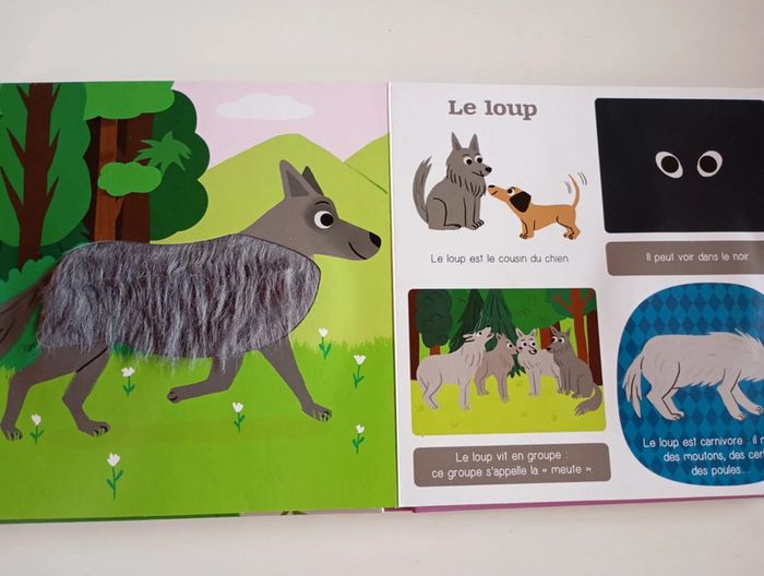 Les p'tits tout doux : les animaux de la montagne - photo numéro 6