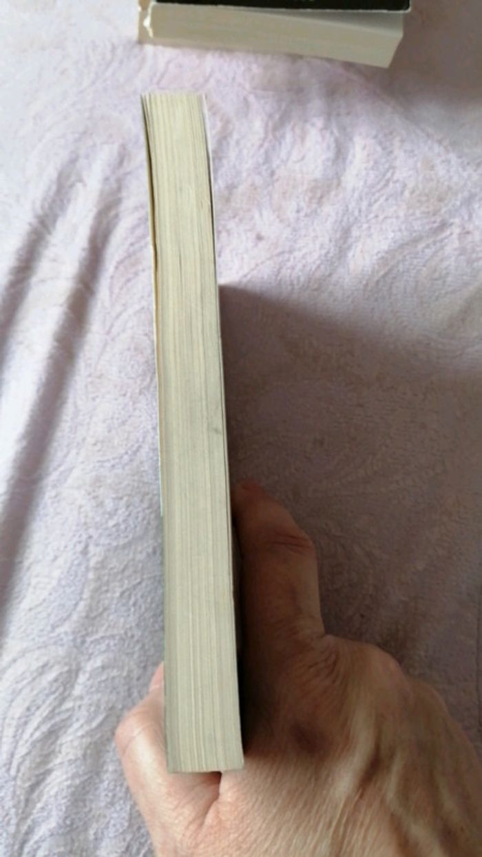 La jetée sous la lune - photo numéro 4