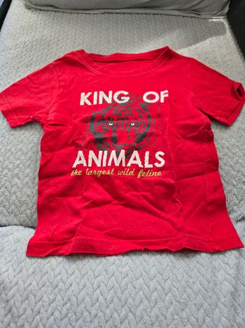 Tee-shirt manches courtes