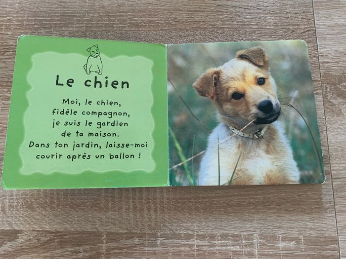 Les animinis à la maison - photo numéro 5